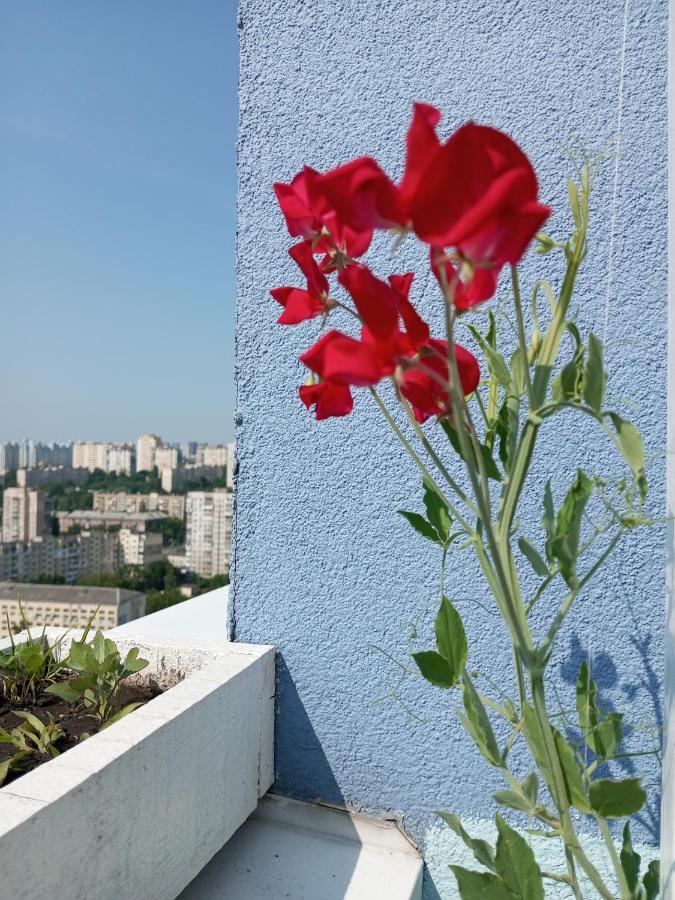 Небольшой Пентхаус С Прекрасным Видом На Город קייב מראה חיצוני תמונה
